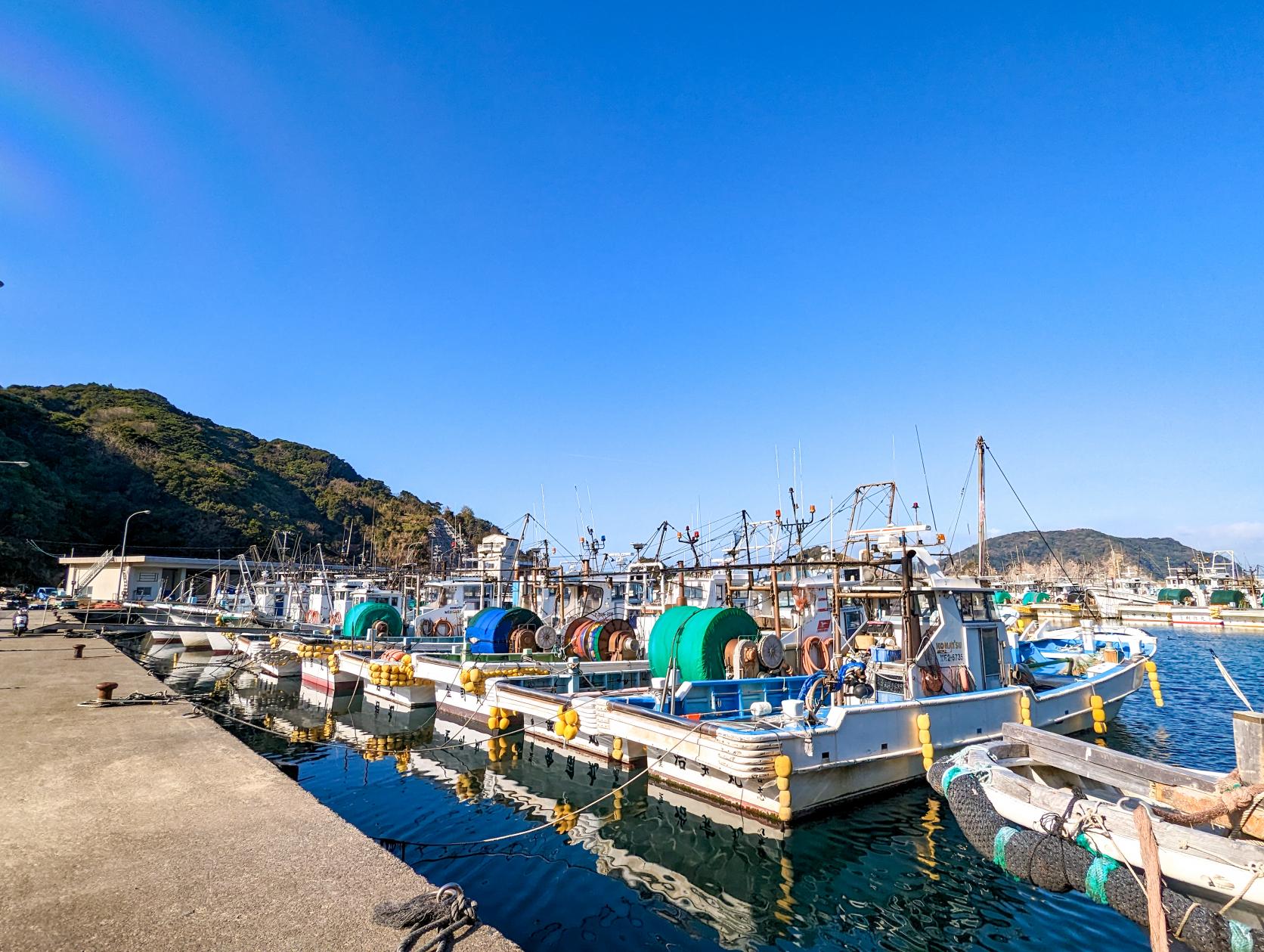 散策中に楽しめる、離島ならではの風景-5