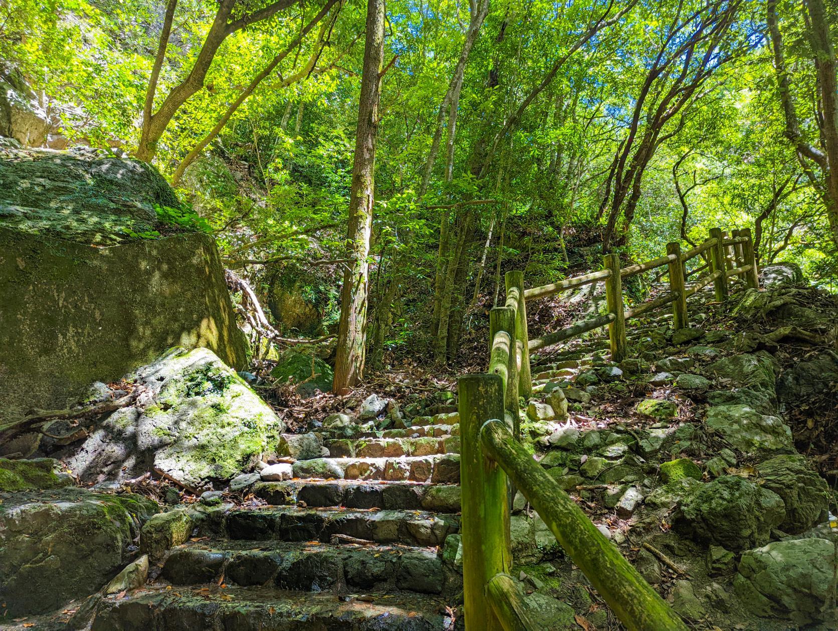 祈願した場所『東宮不動の滝』-1