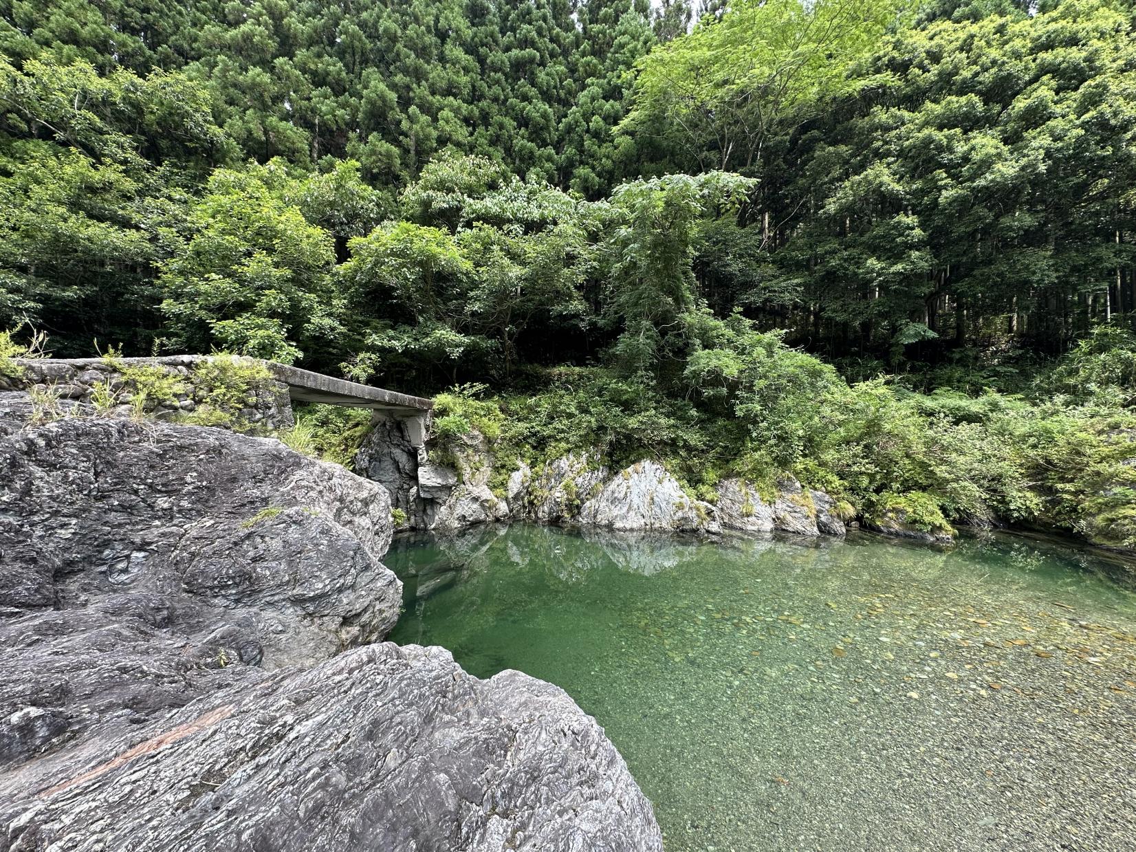 №8『櫛田川 森の沈み橋』-2