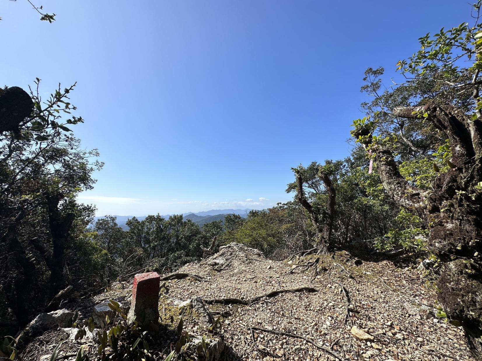 八祢宜山　頂上-1