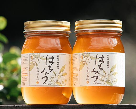 【南伊勢町】国産　はちみつ　百花蜜　500g×2本入りセット-0