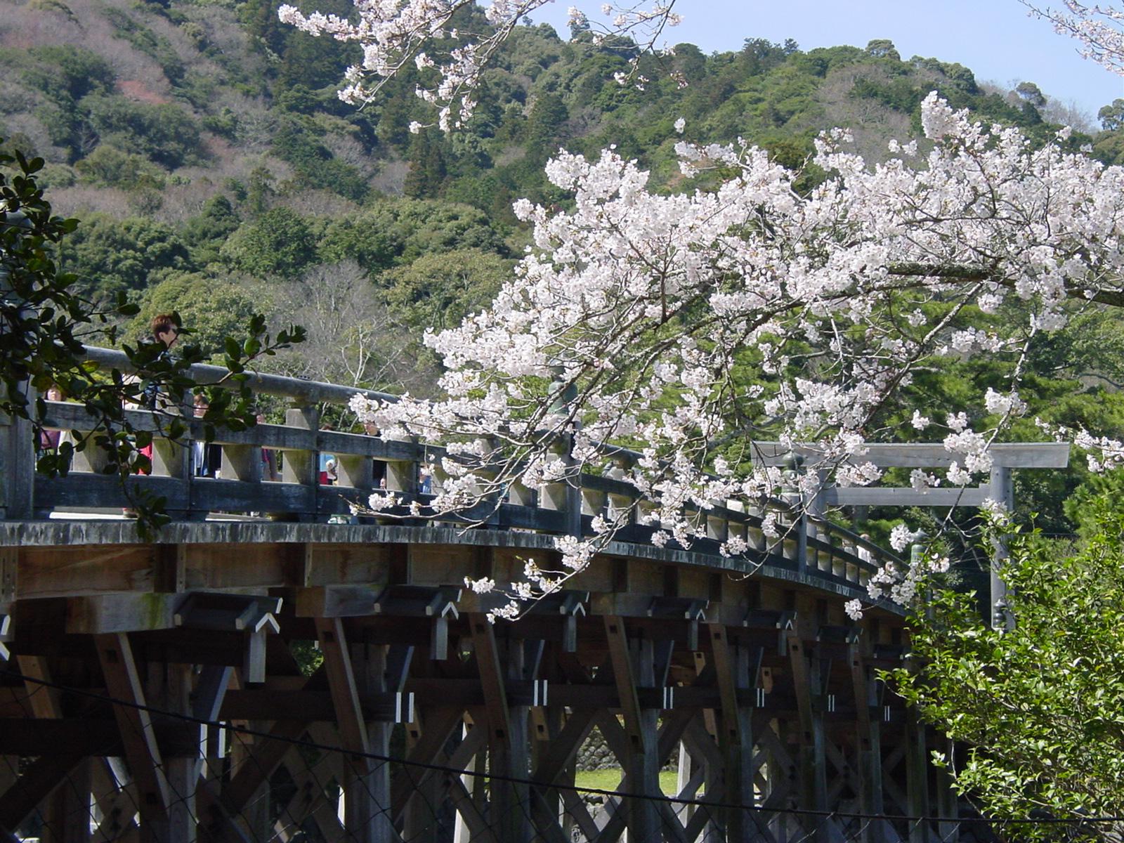 ＜伊勢神宮 内宮の四季＞-1