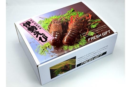【南伊勢町】活き伊勢海老Cコース　5～6尾（約1400～1500g）　山金商店-0