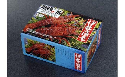 【南伊勢町】地物　活き伊勢海老大漁コース　10～12尾（約2800～3000g）-1
