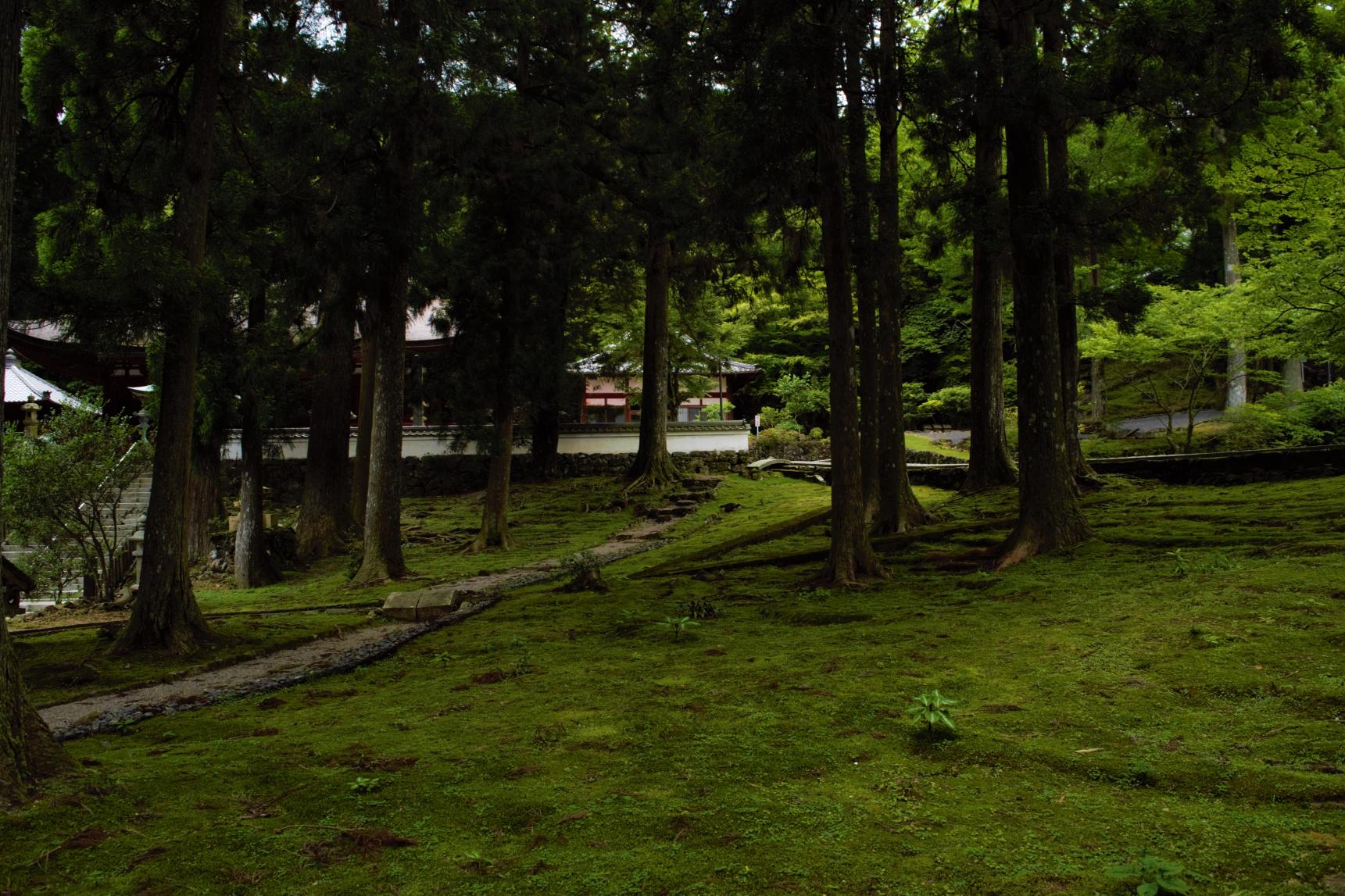 朝熊岳金剛證寺-10