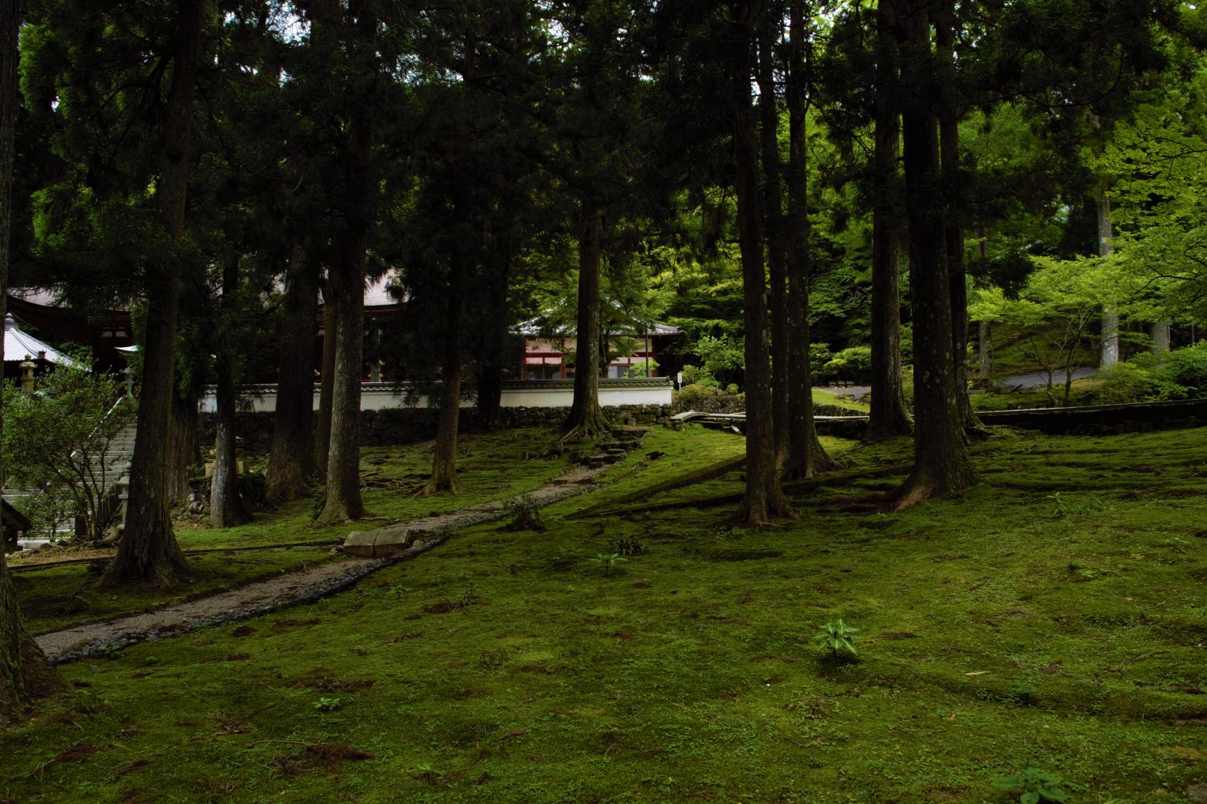 朝熊岳金剛證寺-6