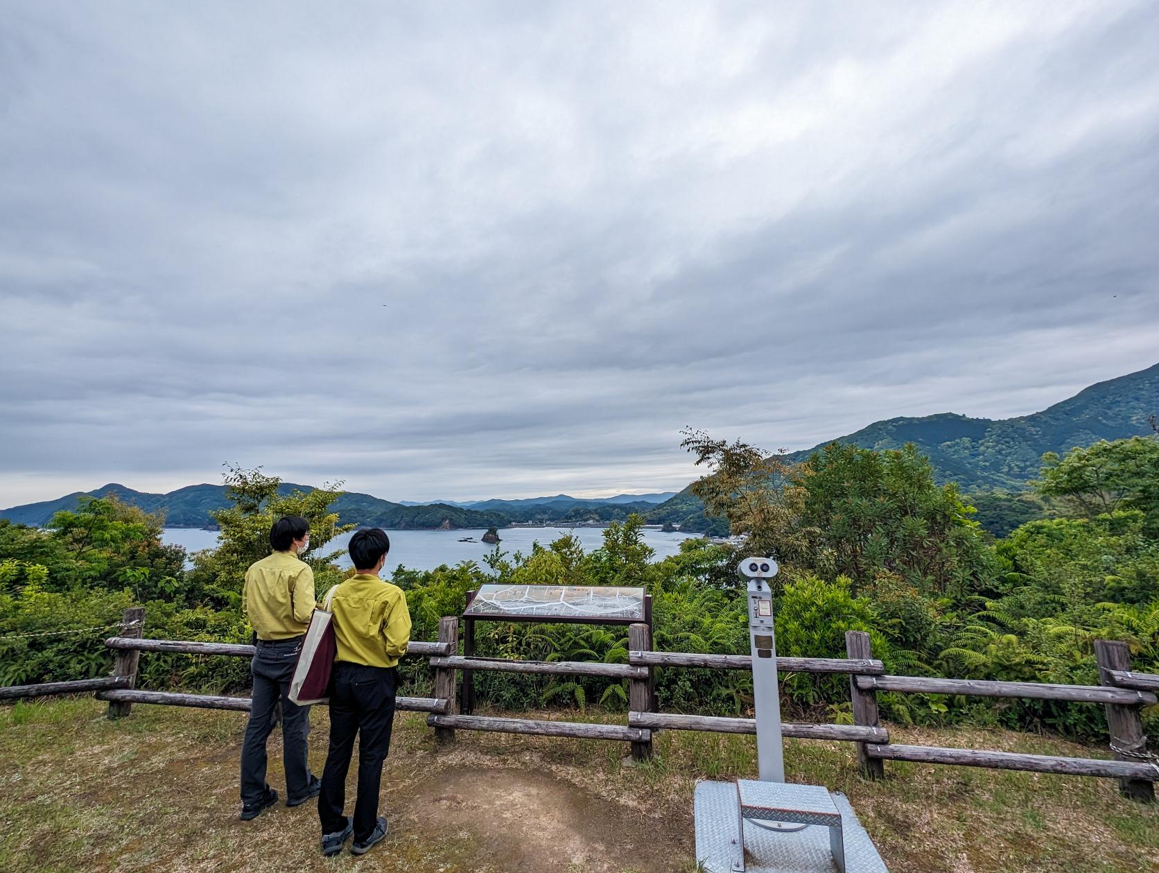 『修景伐採』でどう変わった？まずはビフォーアフターを見てください！-5