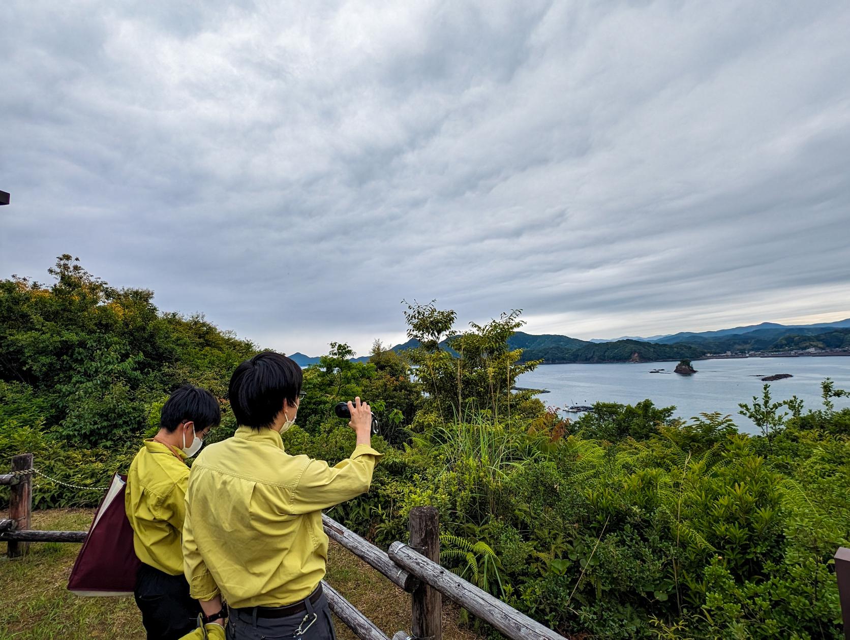 『修景伐採』でどう変わった？まずはビフォーアフターを見てください！-4