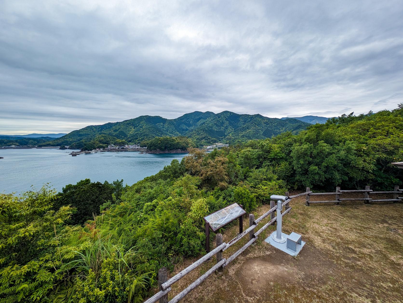 『修景伐採』でどう変わった？まずはビフォーアフターを見てください！-0