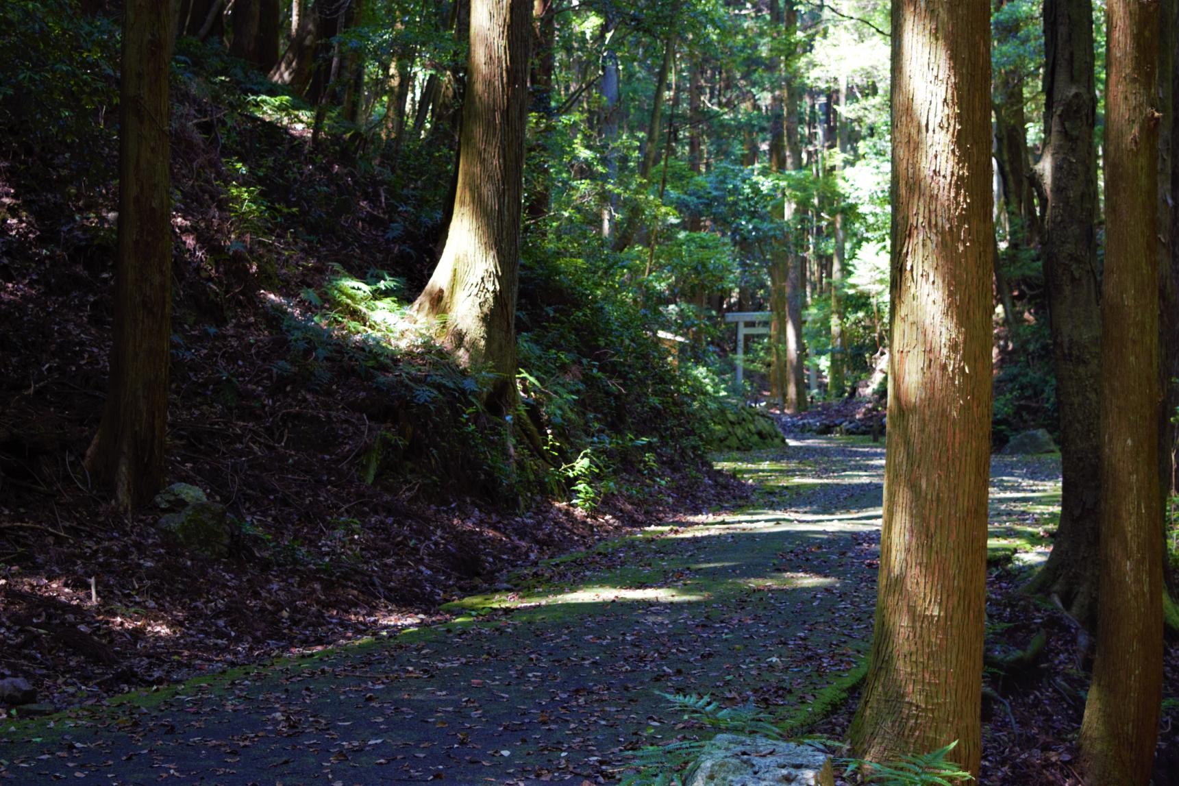 天の岩戸-2