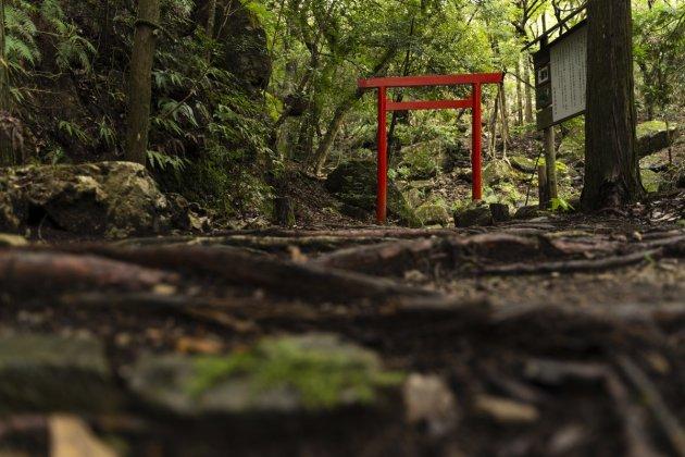 白瀧大明神-9