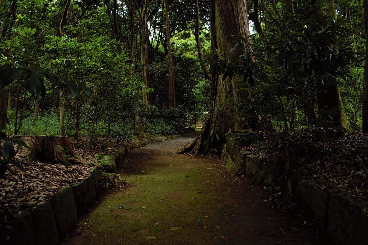 蚊野神社-1