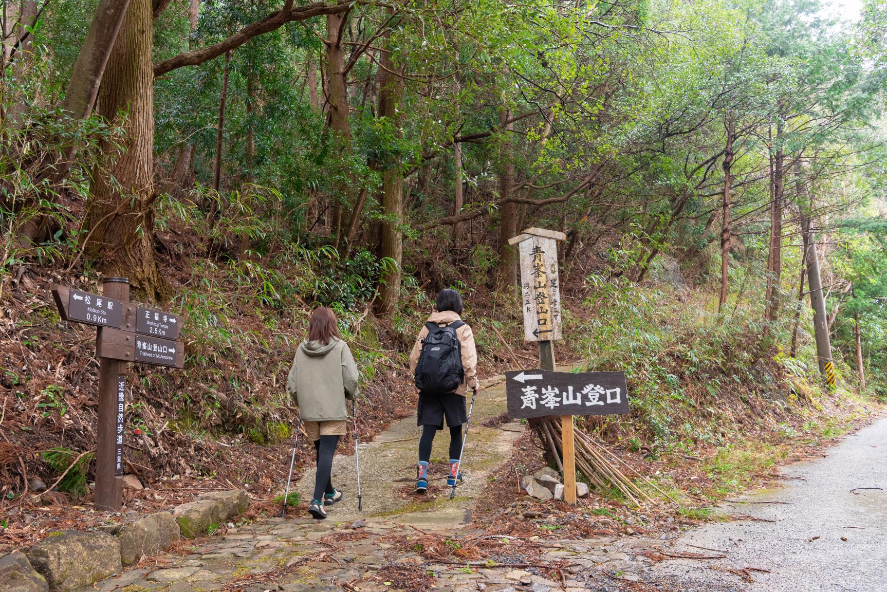 自然美を満喫！青峯山ハイキングコースで癒やしのひととき-0