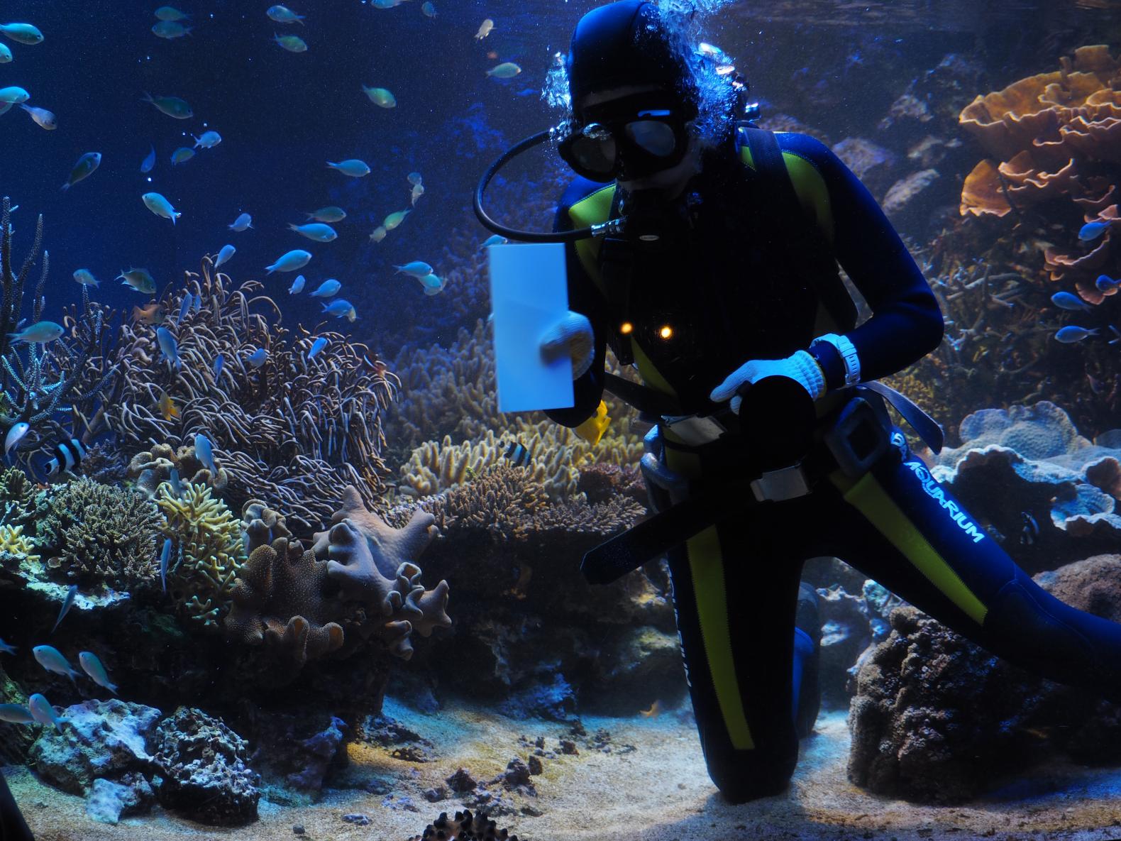 スムーズに楽しむための回り方と個性豊かな12のエリア-3