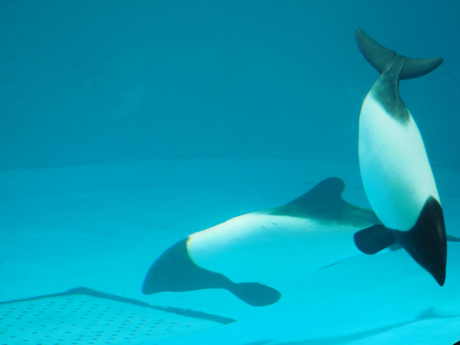 スムーズに楽しむための回り方と個性豊かな12のエリア-0