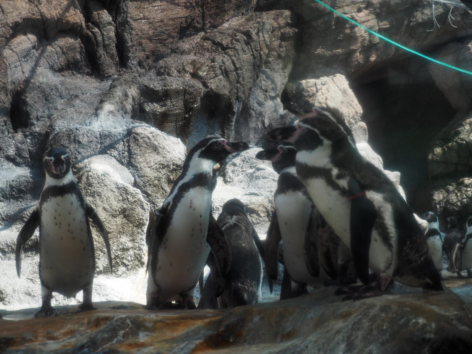 スムーズに楽しむための回り方と個性豊かな12のエリア-1