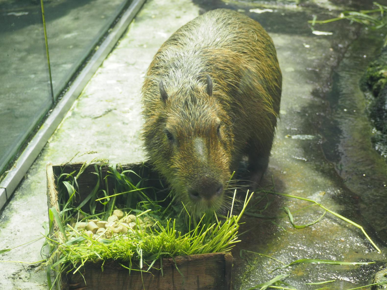 スムーズに楽しむための回り方と個性豊かな12のエリア-2