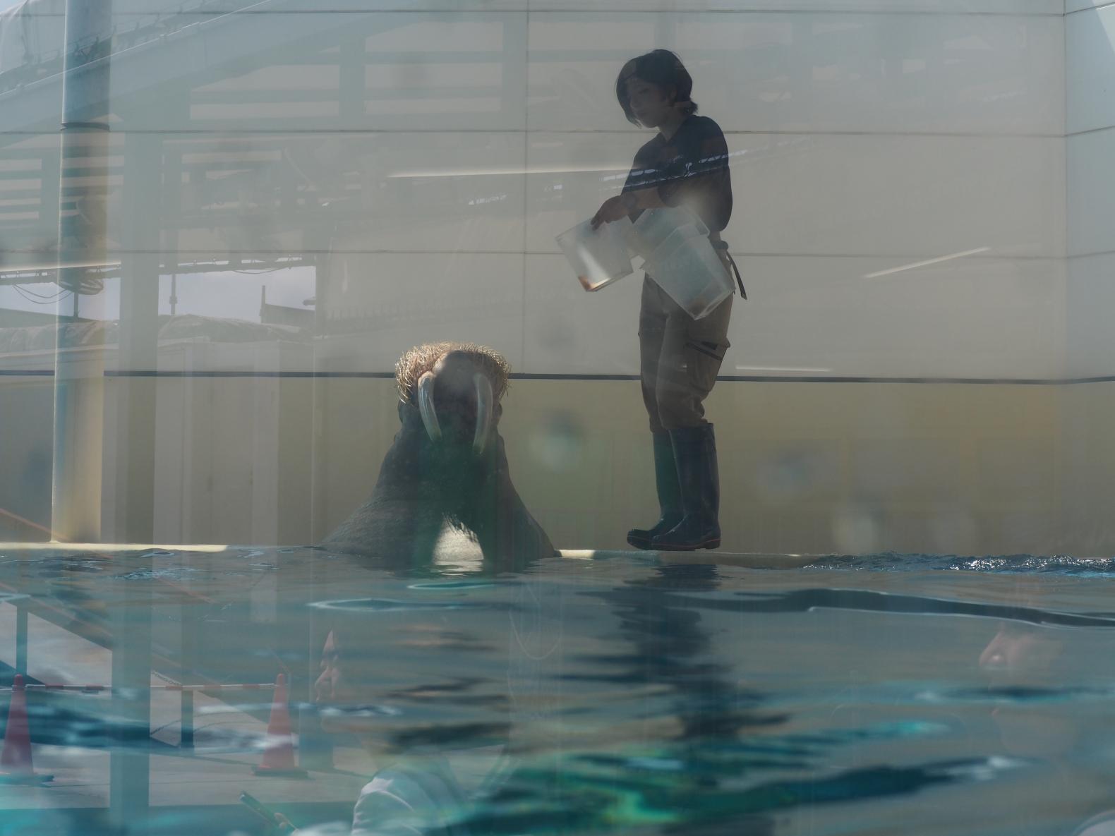 見逃し厳禁！驚きのパフォーマンス＆お食事タイム-1