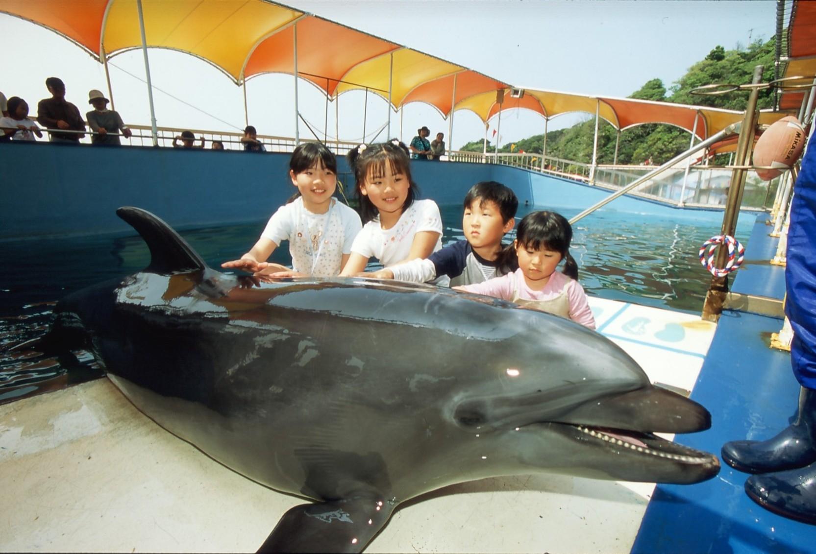 【鳥羽地區】前往龍宮城與海豚之島！「鳥羽灣巡遊與海豚島」-1