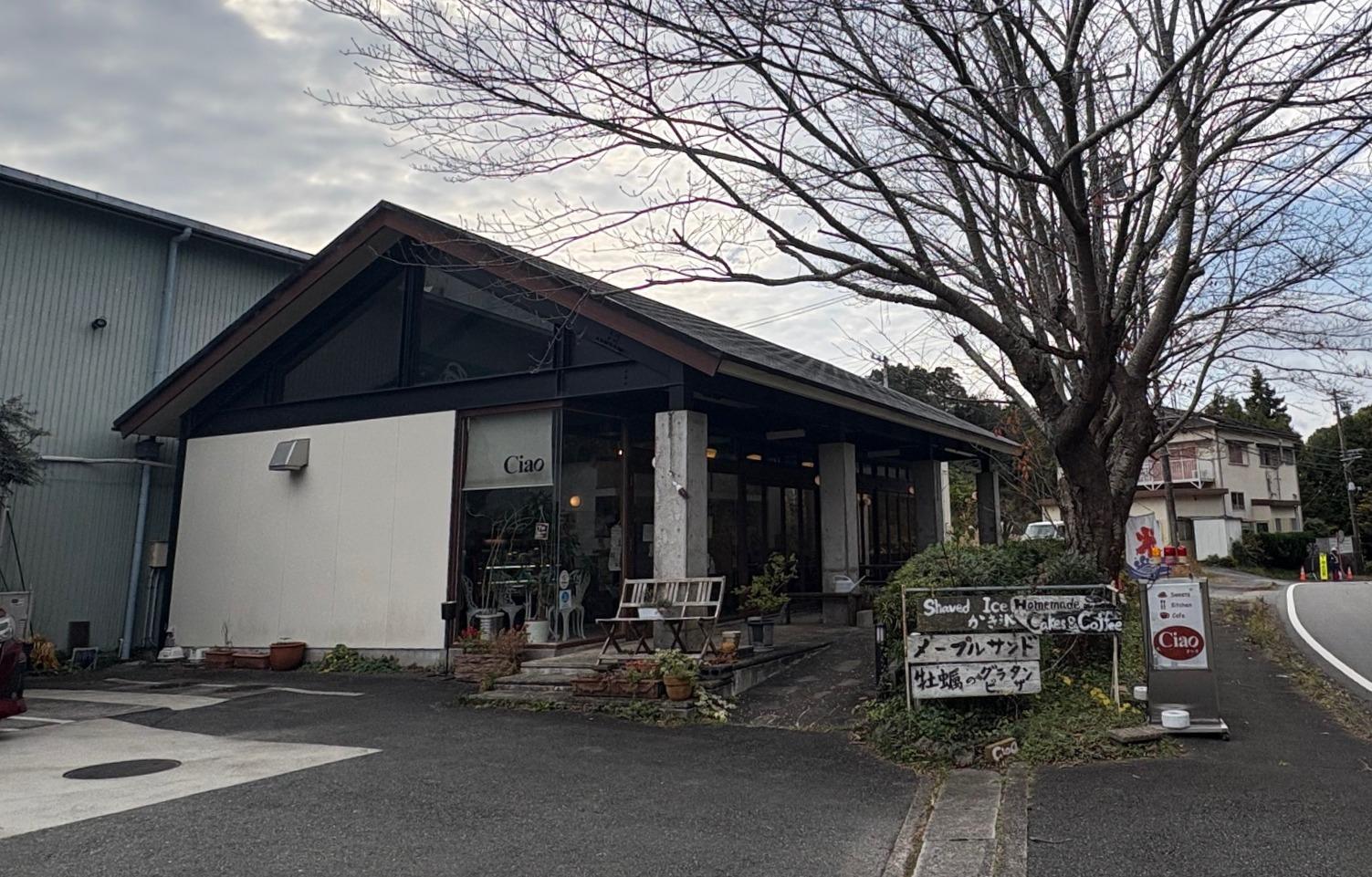 美味しい牡蠣グラタンを提供するカフェ”Ciao（チャオ）”-0