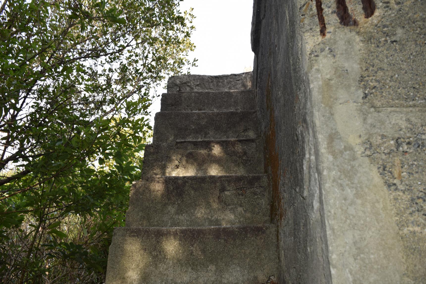 見どころ④海と島々を一望する、隠れた展望スポット『監的哨跡』-2