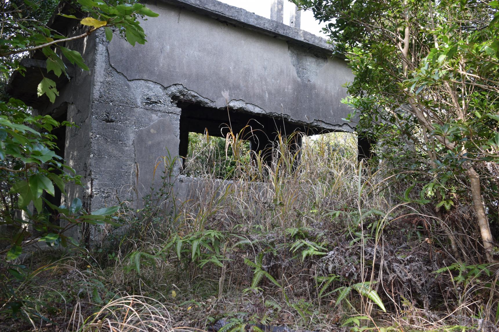 見どころ④海と島々を一望する、隠れた展望スポット『監的哨跡』-0