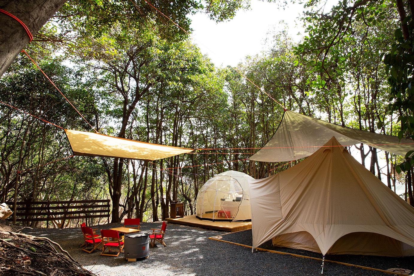 TASO FOREST CAMP-0