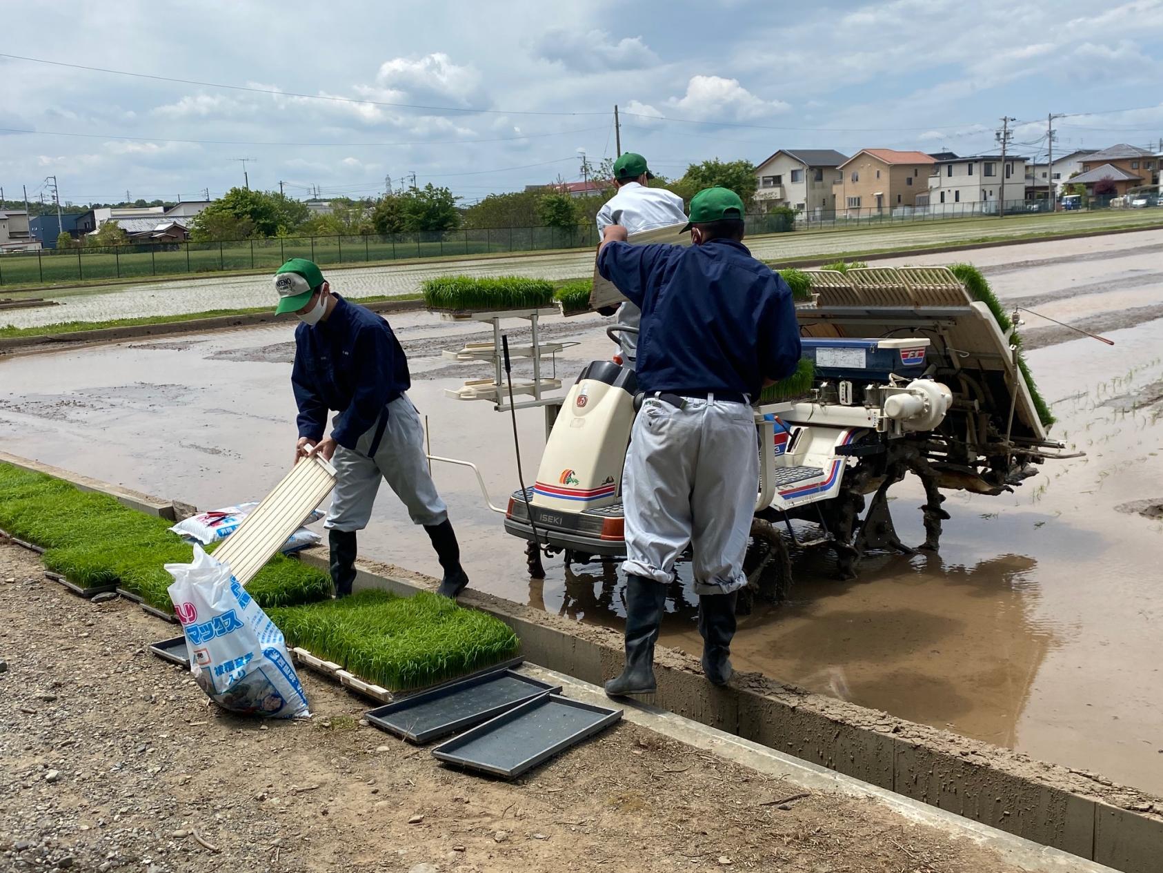 Akeno sakumotsu : un saké élaboré par les lycéens de la région-3