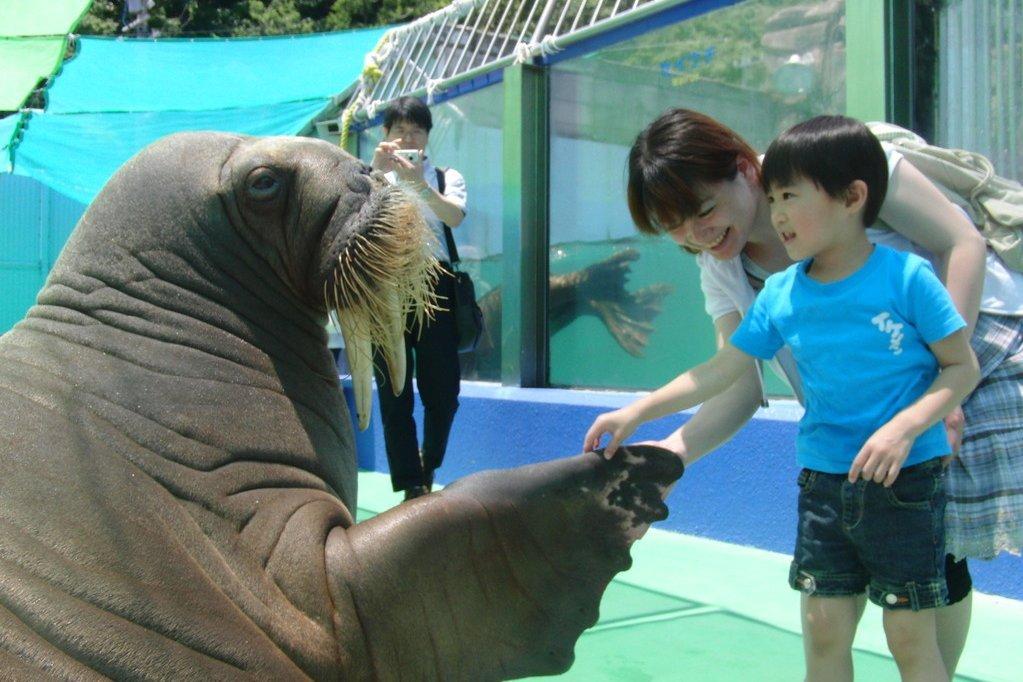 まだある！ちびっこに人気のスポット-0