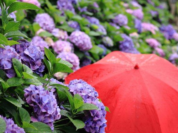 雨の日も大丈夫！伊勢志摩快適スポット巡り　1泊2日旅-1