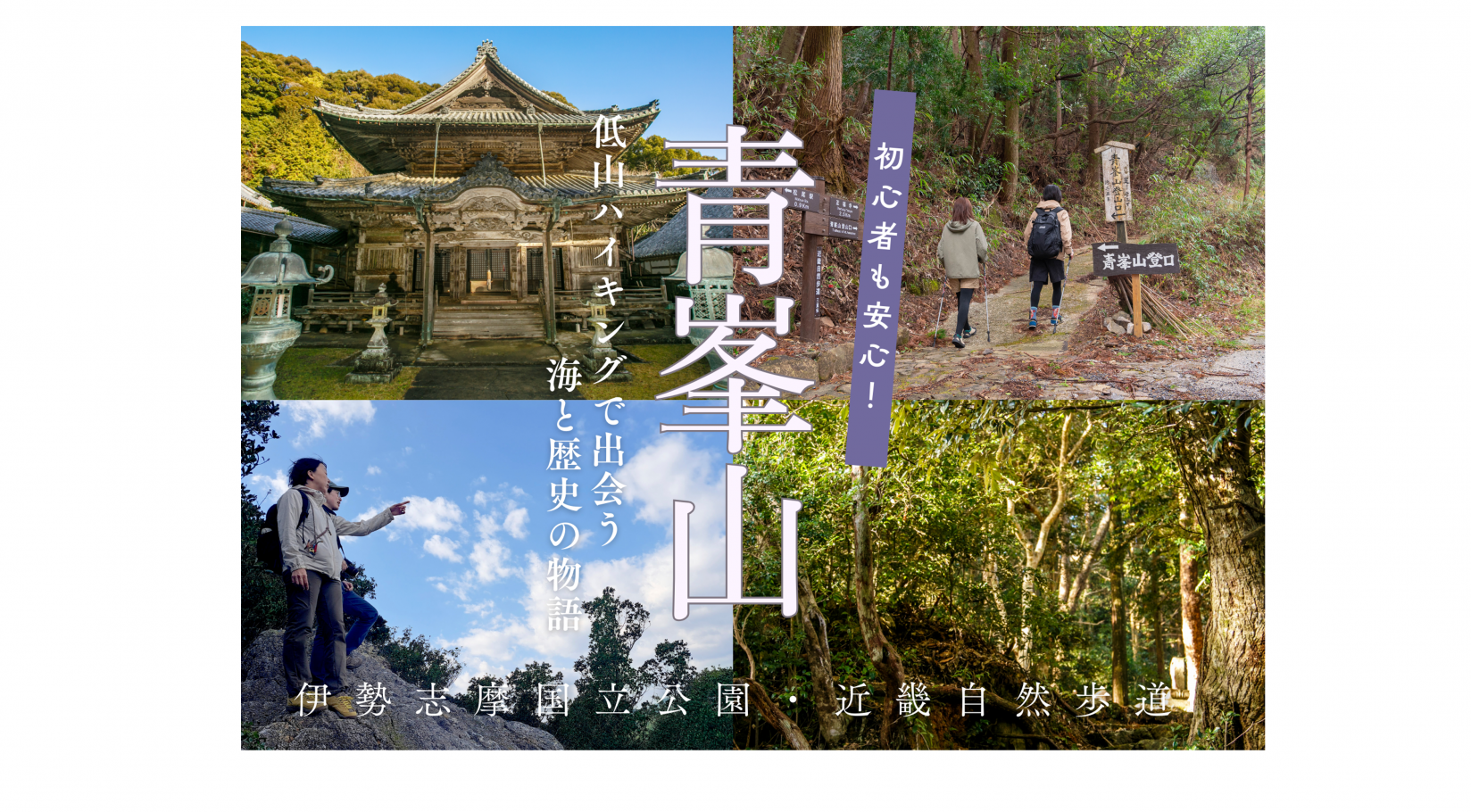 伊勢志摩国立公園・近畿自然歩道 初心者も安心!低山ハイキングで出会う青峯山の海と歴史の物語-1