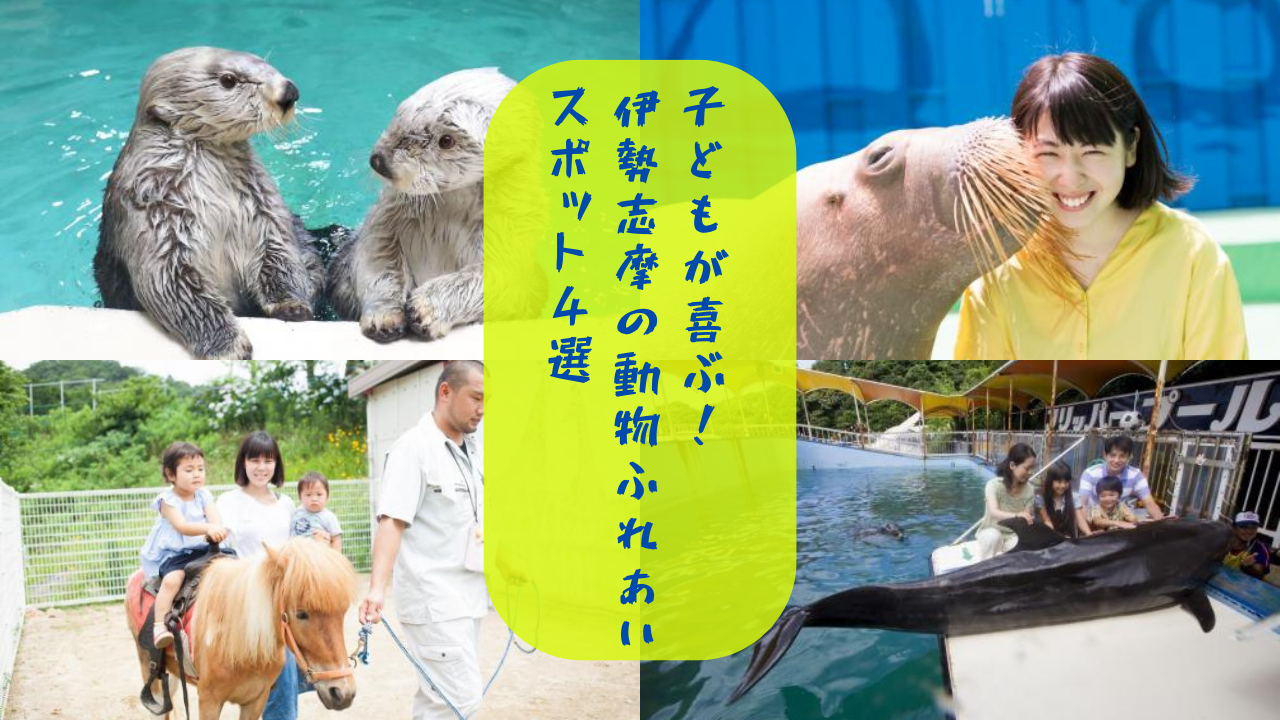 【家族で体験】子どもが喜ぶ伊勢志摩の動物ふれあいスポット4選-1