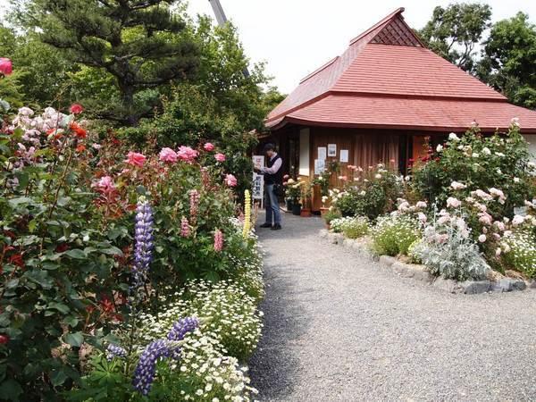 神宮ばら園 ばら展【神宮会館】-8