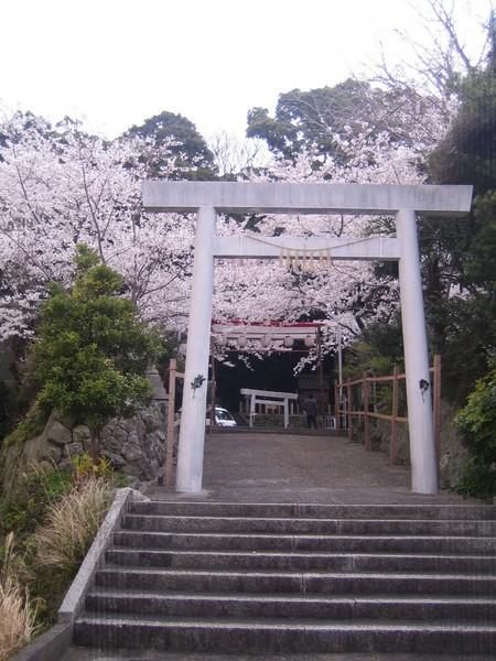 春祭り時の鳥居