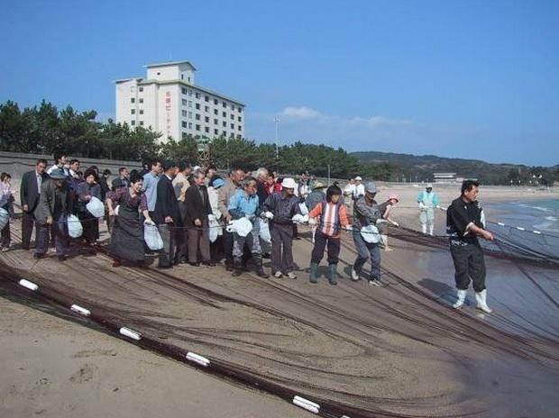 相差地引網体験-0