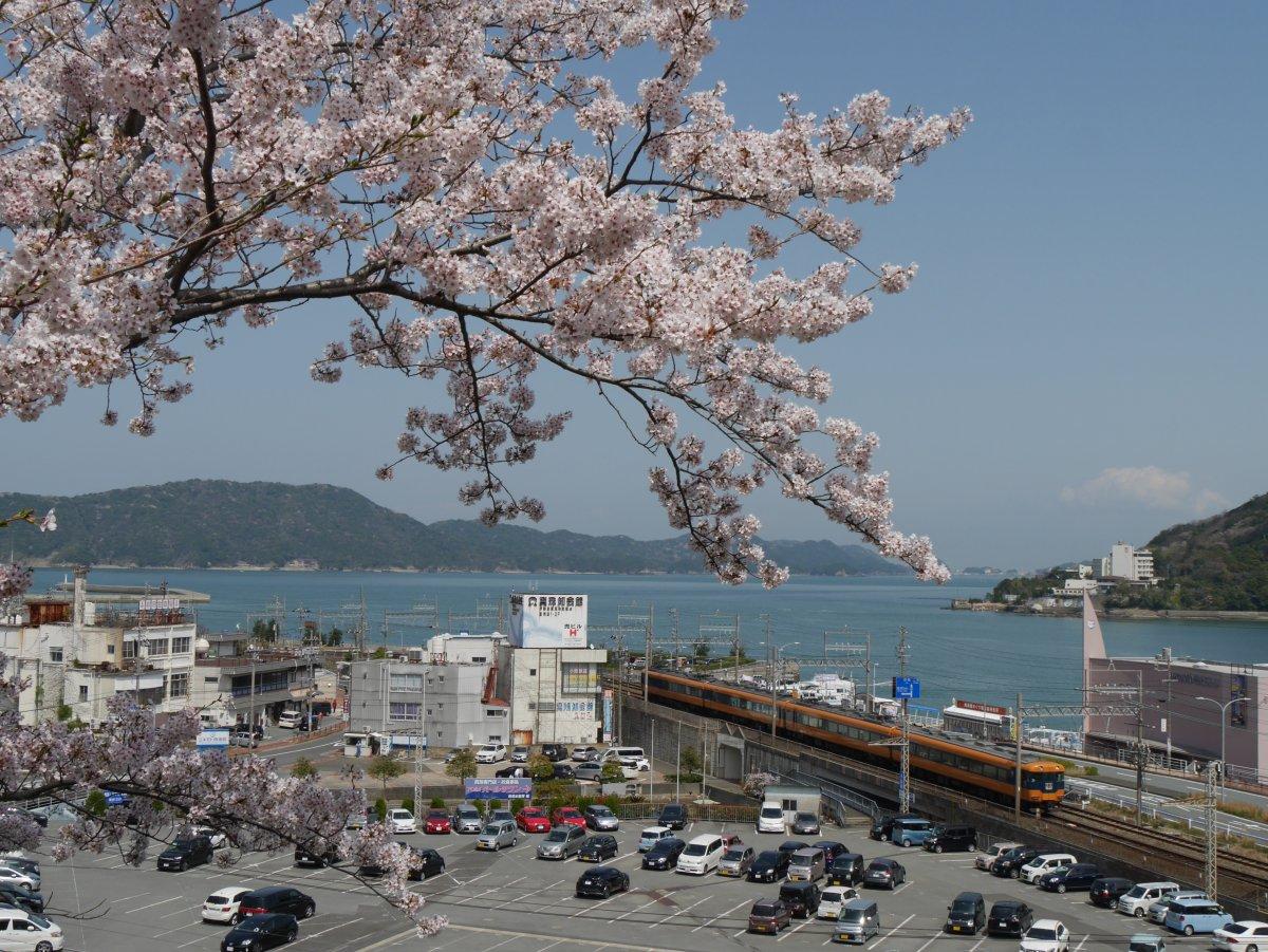 【2024年中止となりました】嘉隆さくら祭り～しろやま楽市～-1