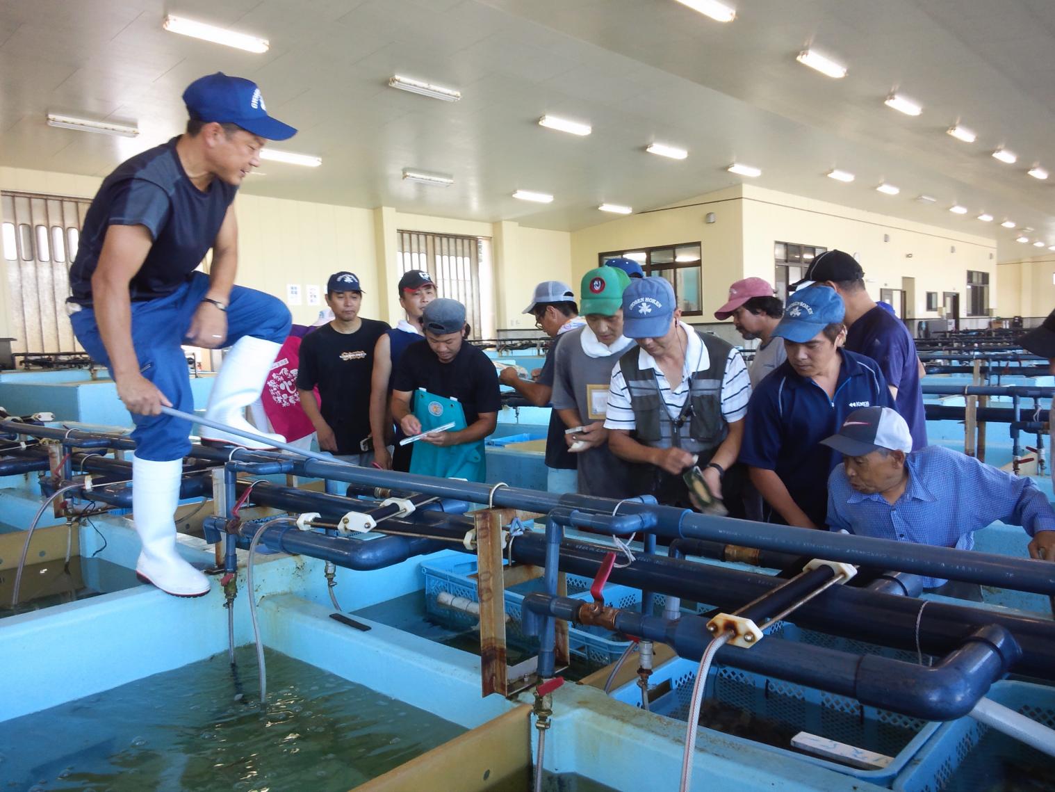 船で行く！漁師町の島ランチツアー（海島遊民くらぶ）-1