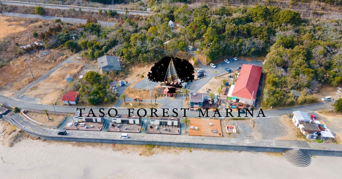 TASO FOREST MARINA-1