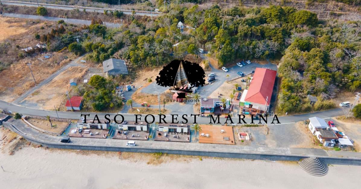 TASO FOREST MARINA-1