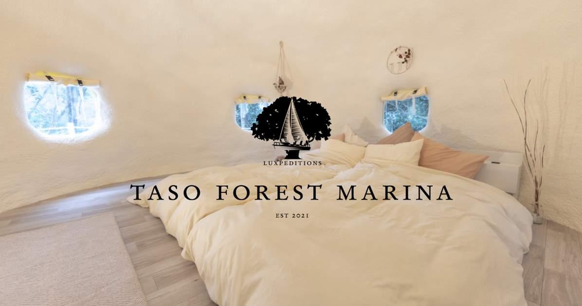 TASO FOREST MARINA-4