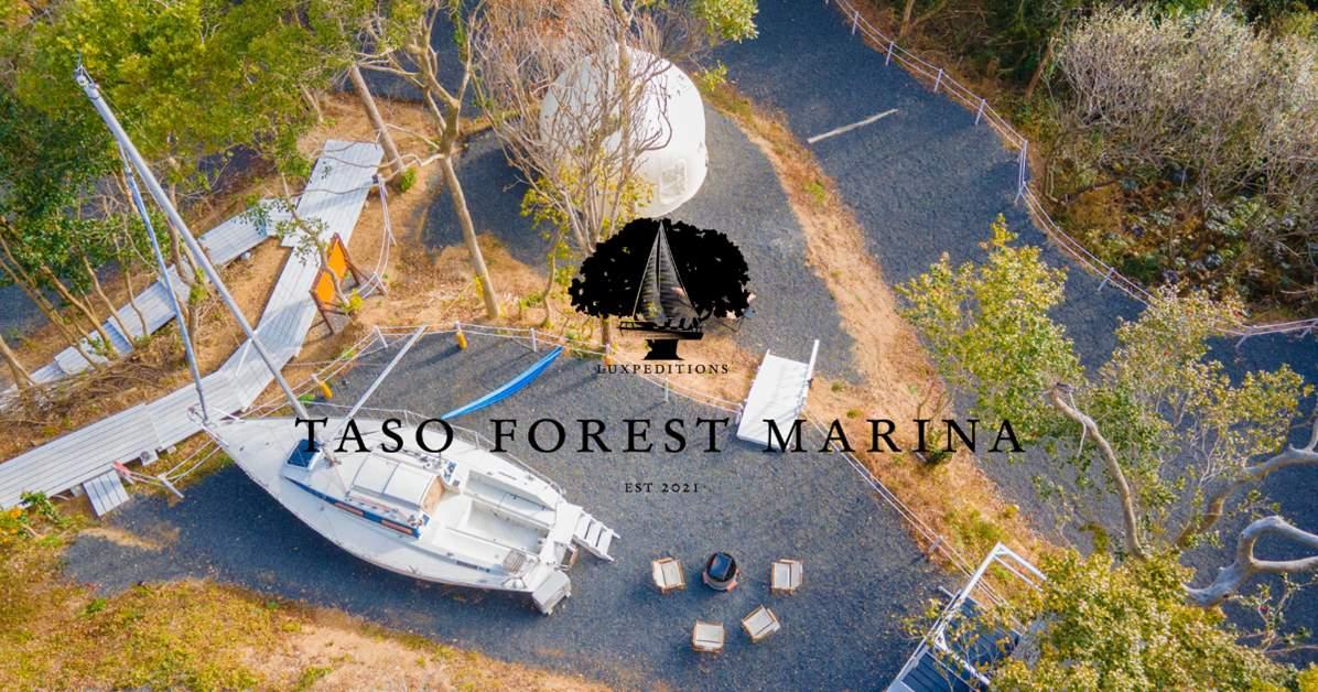TASO FOREST MARINA-2