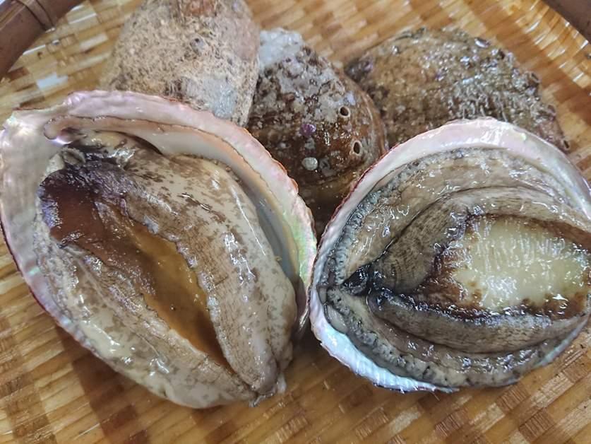 タイヨウ水産-5