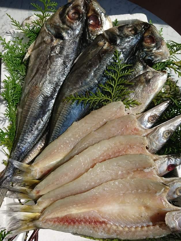 タイヨウ水産-9
