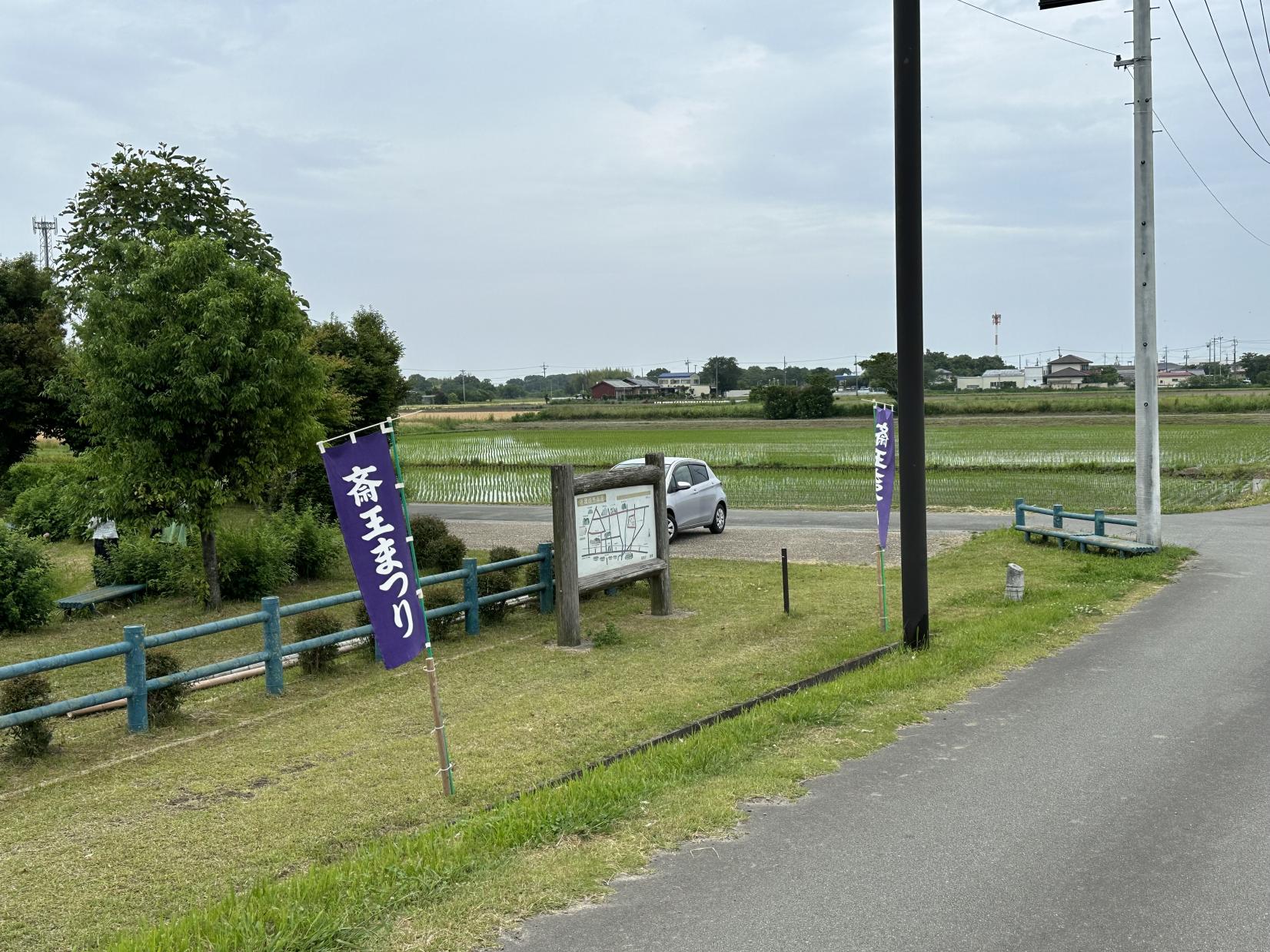 斎宮のハナショウブ群落-8