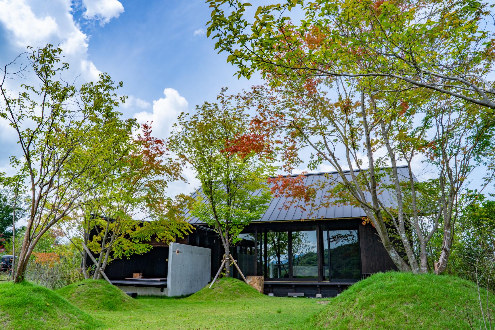 VISON HOTELS-4