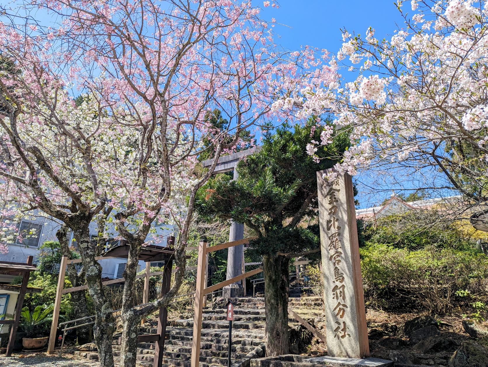 讃岐金刀比羅宮鳥羽分社-1