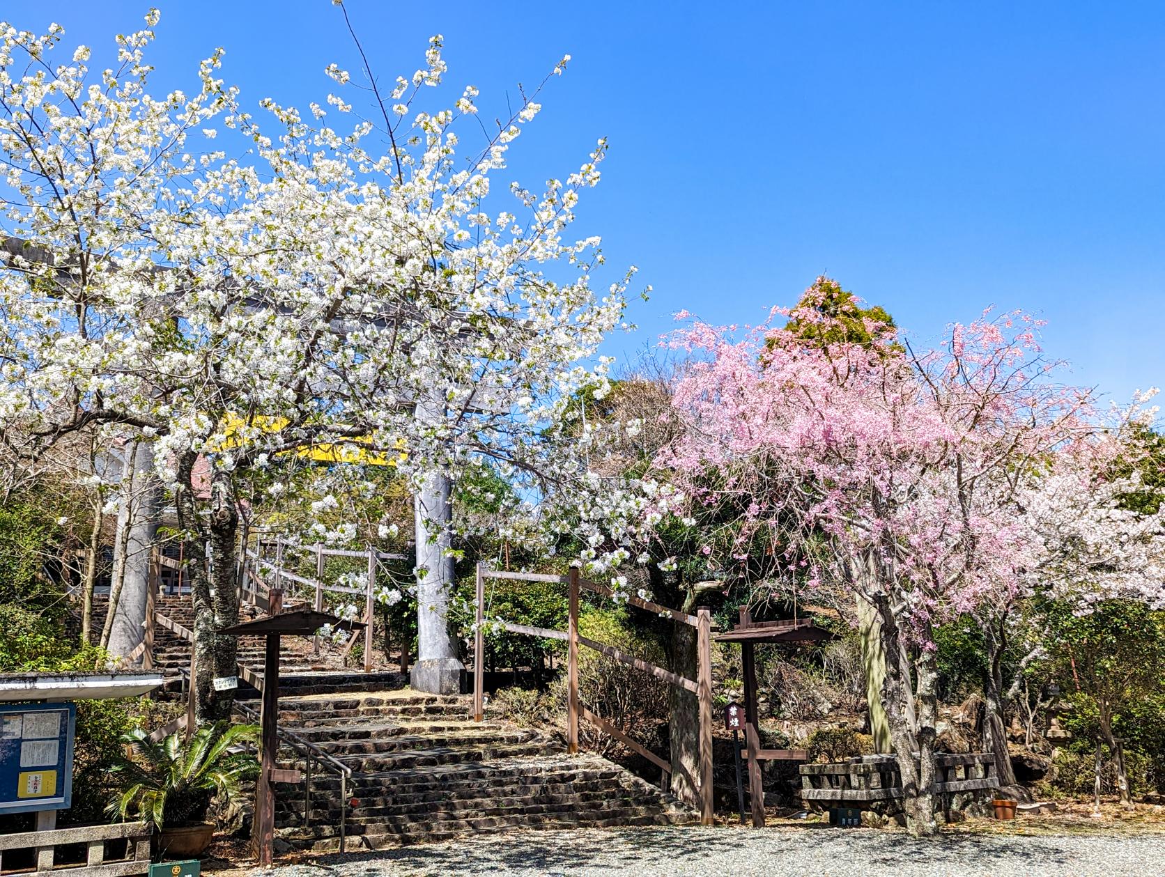 讃岐金刀比羅宮鳥羽分社-5