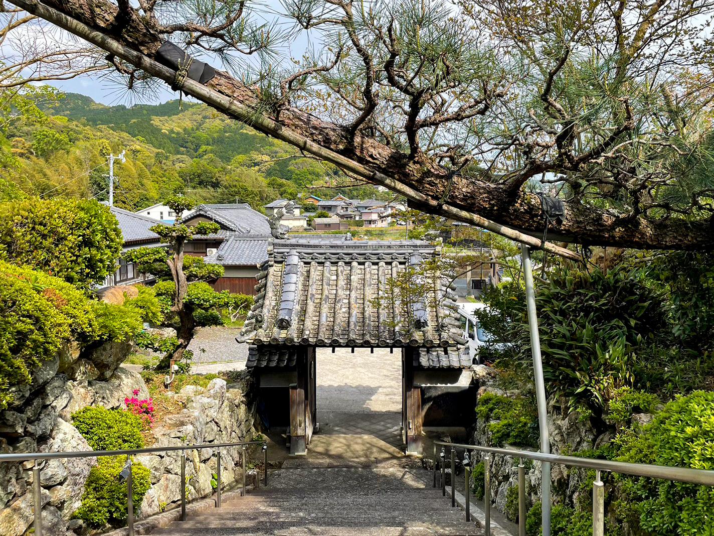 正泉寺（藤棚）-7