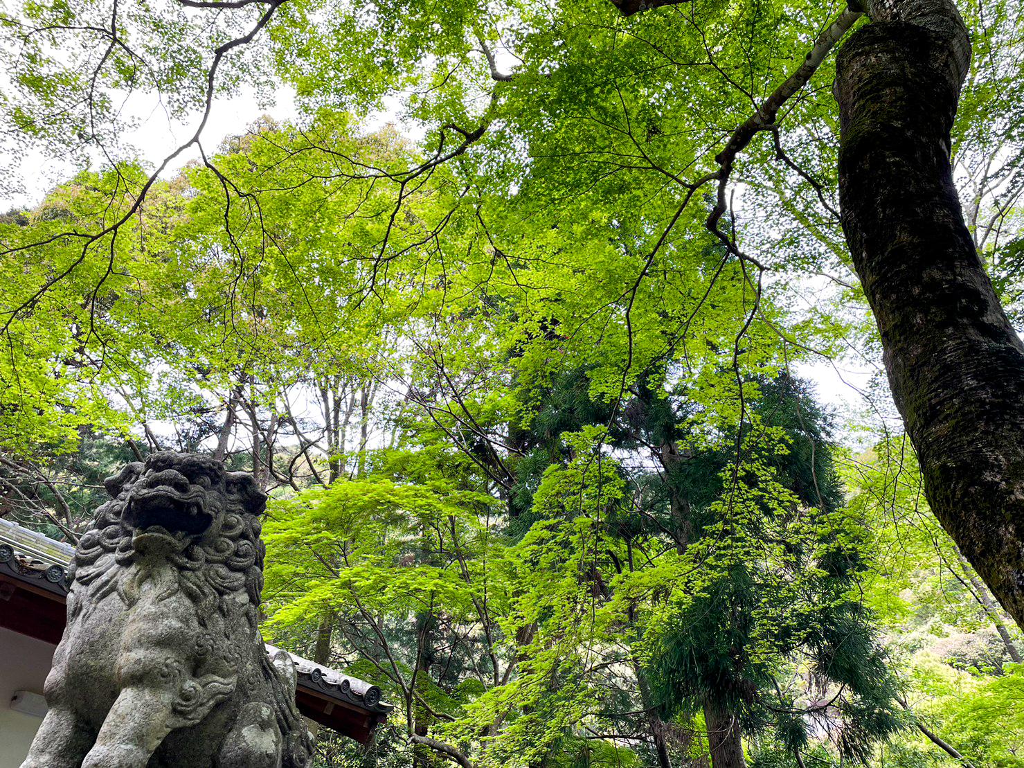 八柱神社（古和浦）-3