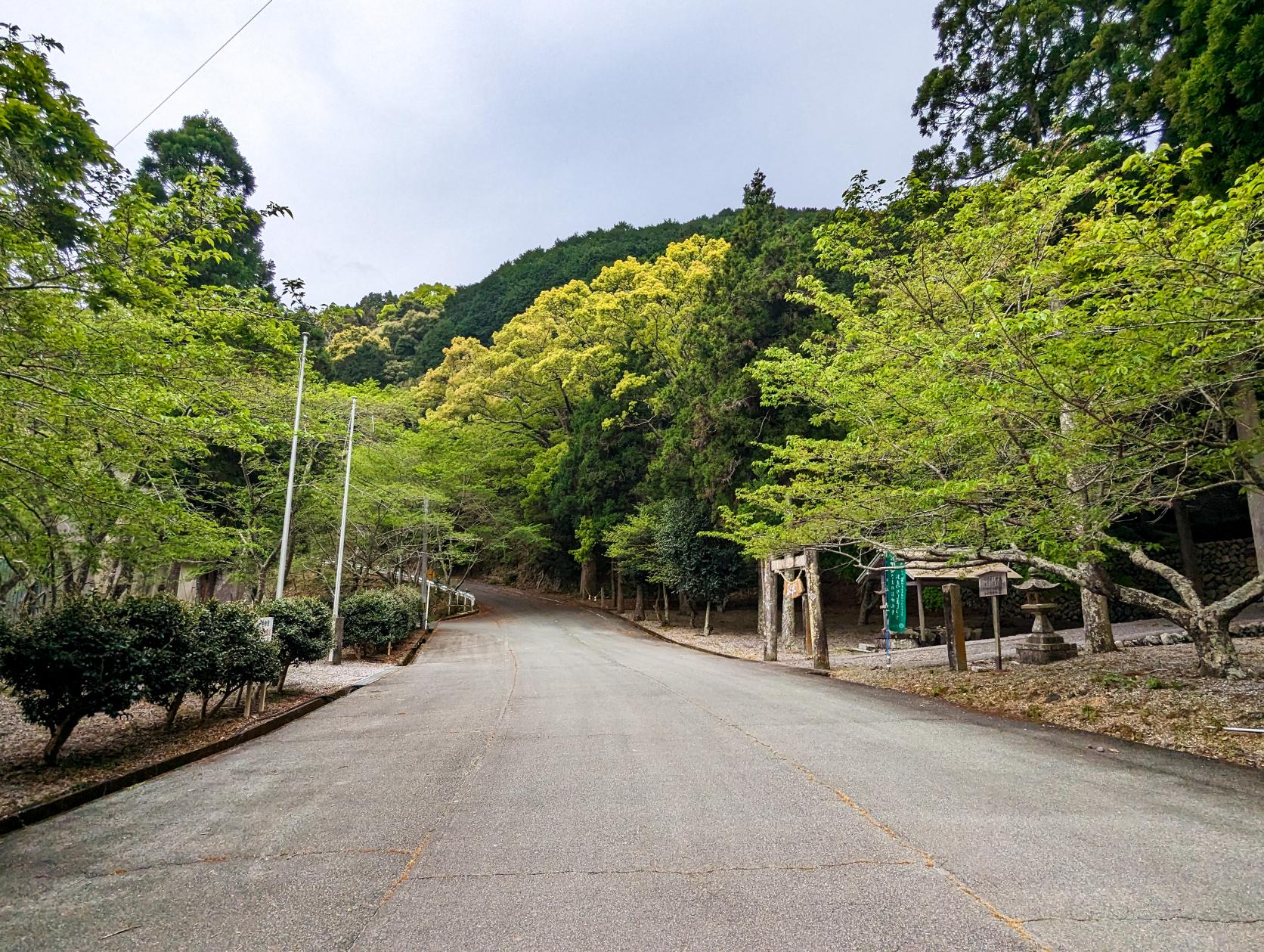 八柱神社（古和浦）-9